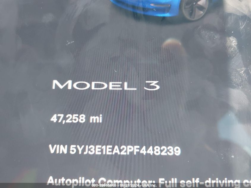 2023 Tesla Model 3 Rear-Wheel Drive VIN: 5YJ3E1EA2PF448239 Lot: 39665665