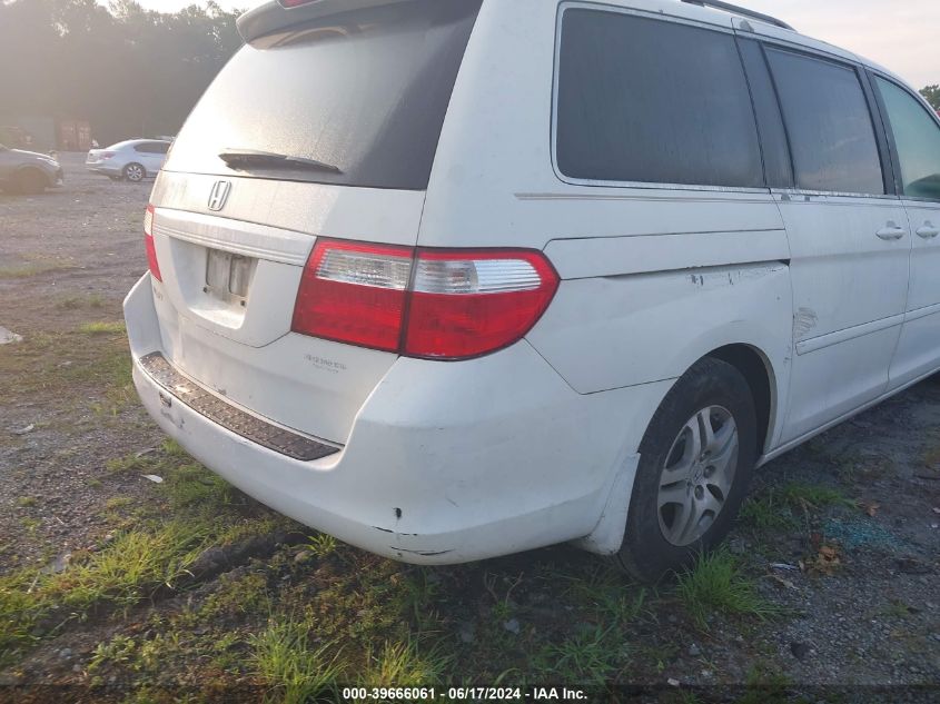 2007 Honda Odyssey Ex-L VIN: 5FNRL38697B427696 Lot: 39666061