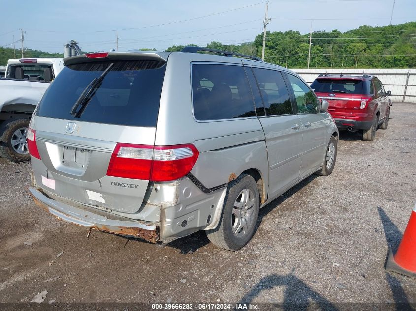 2005 Honda Odyssey Exl VIN: 5FNRL38795B116453 Lot: 39666283