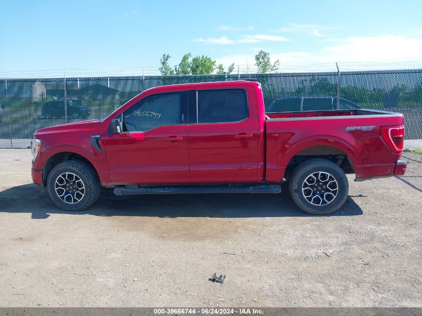 2022 Ford F-150 Xlt VIN: 1FTEW1EP8NFA02048 Lot: 39666744