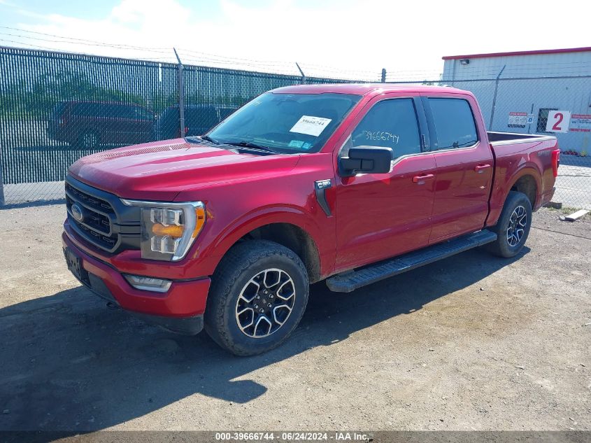 2022 Ford F-150 Xlt VIN: 1FTEW1EP8NFA02048 Lot: 39666744