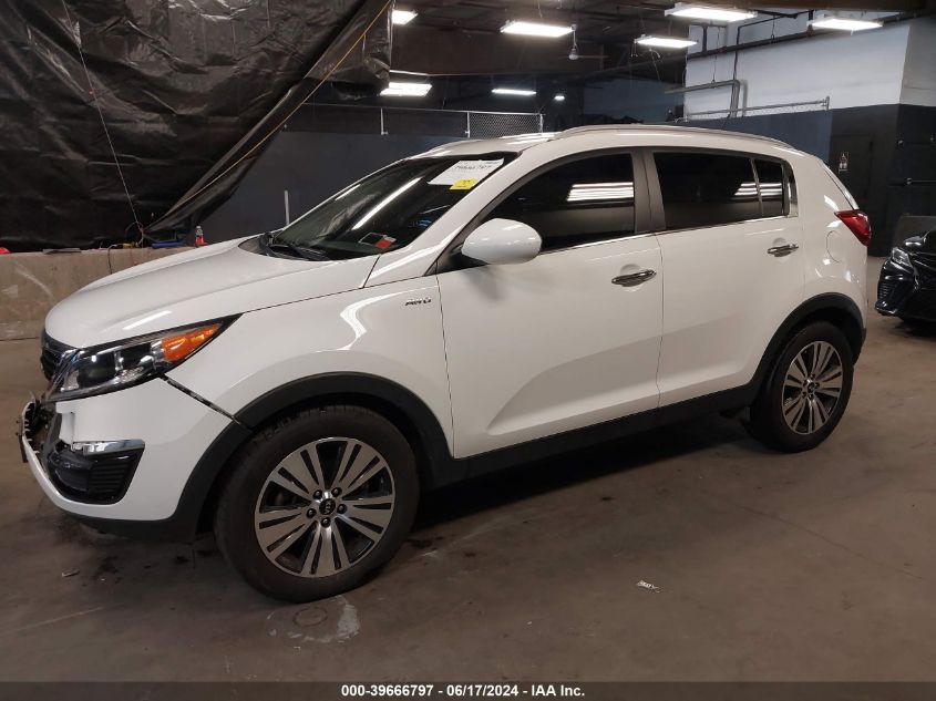 2016 Kia Sportage Ex VIN: KNDPCCAC2G7803331 Lot: 39666797