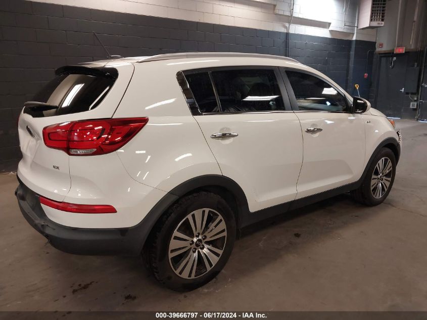 2016 Kia Sportage Ex VIN: KNDPCCAC2G7803331 Lot: 39666797