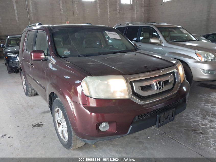 2009 Honda Pilot Ex VIN: 5FNYF48469B010546 Lot: 39666935