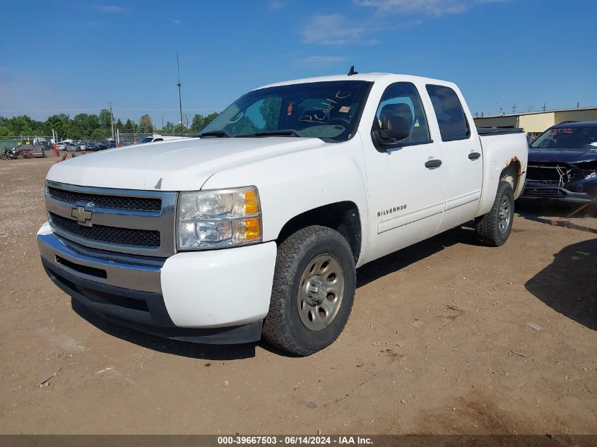 3GCRCREAXAG119675 | 2010 CHEVROLET SILVERADO 1500