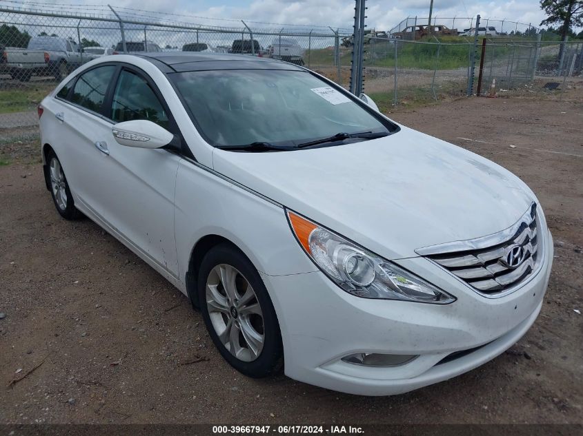 2013 HYUNDAI SONATA LIMITED - 5NPEC4AC8DH586209