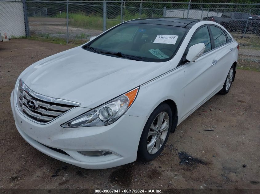 2013 HYUNDAI SONATA LIMITED - 5NPEC4AC8DH586209