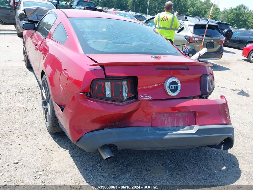 2010 Ford Mustang Gt Premium VIN: 1ZVBP8CH5A5132497 Lot: 39668063