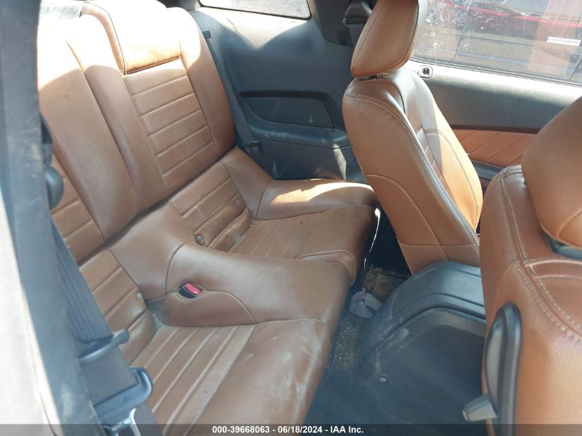 2010 Ford Mustang Gt Premium VIN: 1ZVBP8CH5A5132497 Lot: 39668063