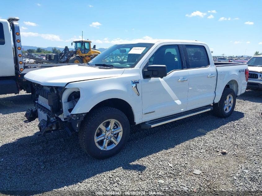 2024 FORD F-150 XLT - 1FTFW3LD5RFA75750