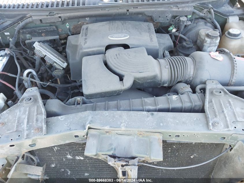 2003 Ford Expedition Eddie Bauer VIN: 2FT8W2BN8PEC70256 Lot: 39668383