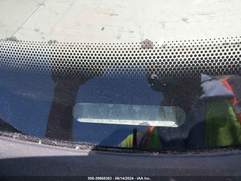 2003 Ford Expedition Eddie Bauer VIN: 2FT8W2BN8PEC70256 Lot: 39668383