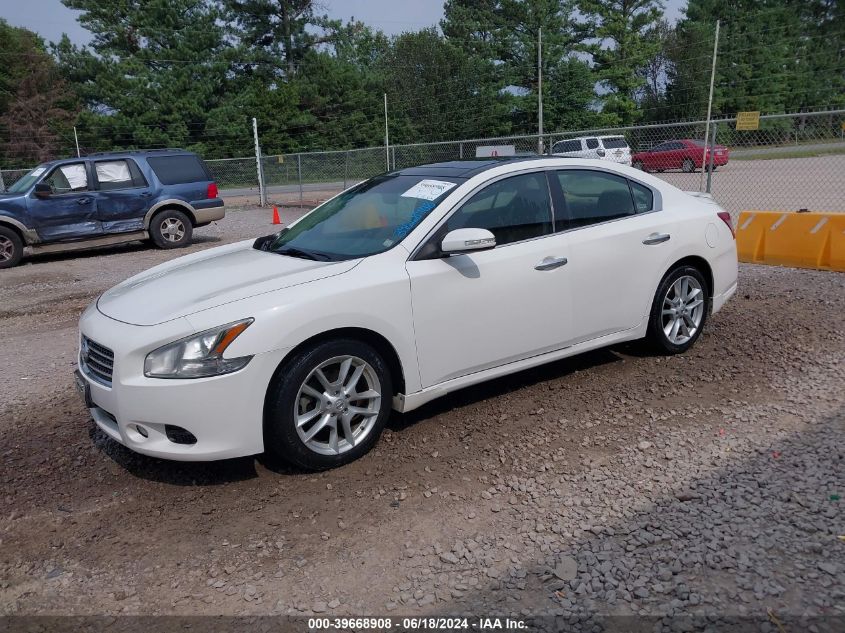 2010 Nissan Maxima 3.5 Sv VIN: 1N4AA5AP9AC874038 Lot: 39668908