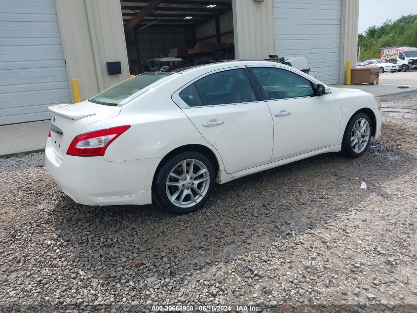 2010 Nissan Maxima 3.5 Sv VIN: 1N4AA5AP9AC874038 Lot: 39668908