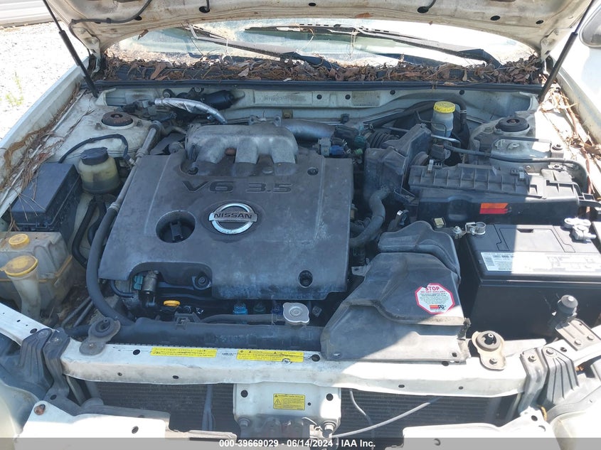 2003 Nissan Maxima Se VIN: JN1DA31D73T521336 Lot: 39669029