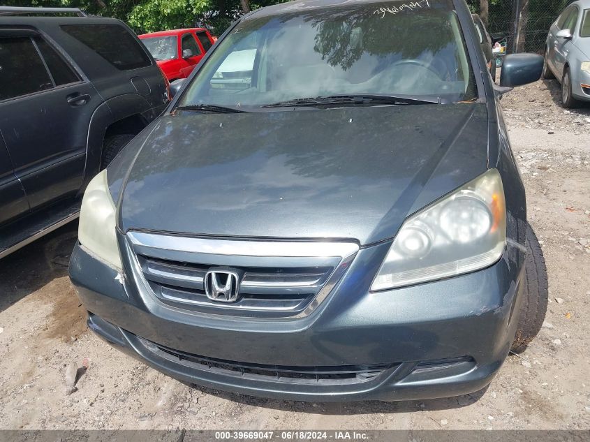 2005 Honda Odyssey Ex-L VIN: 5FNRL38625B006786 Lot: 39669047