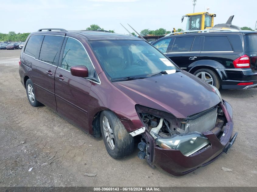 2007 Honda Odyssey Ex-L VIN: 5FNRL386X7B459203 Lot: 39669143