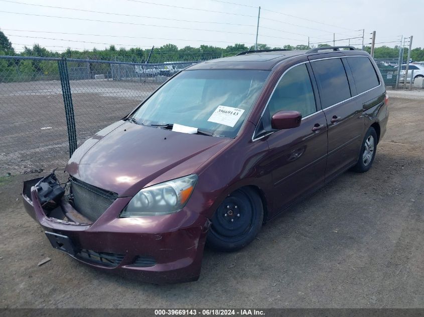 2007 Honda Odyssey Ex-L VIN: 5FNRL386X7B459203 Lot: 39669143