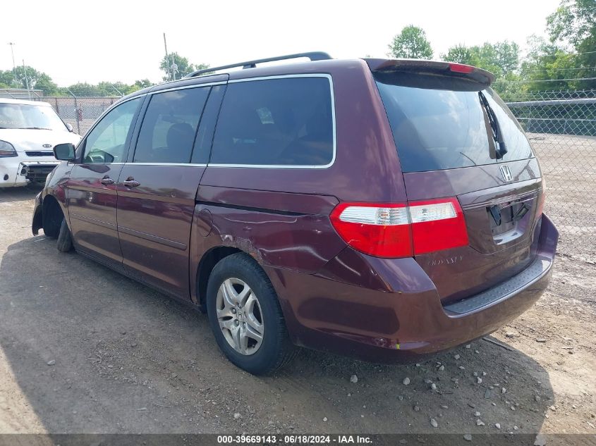 2007 Honda Odyssey Ex-L VIN: 5FNRL386X7B459203 Lot: 39669143