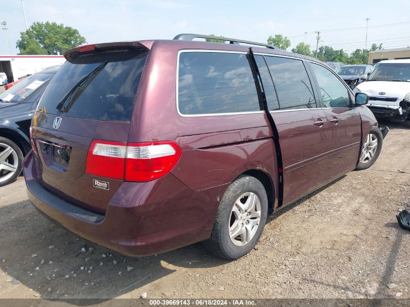 2007 Honda Odyssey Ex-L VIN: 5FNRL386X7B459203 Lot: 39669143