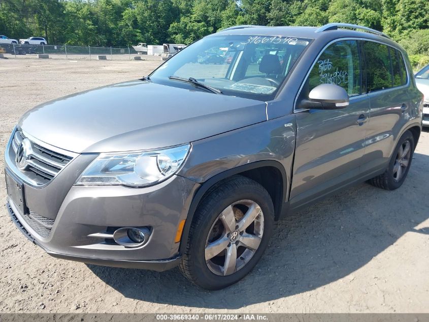 2010 Volkswagen Tiguan Wolfsburg Edition VIN: WVGBV7AX9AW525275 Lot: 39669340