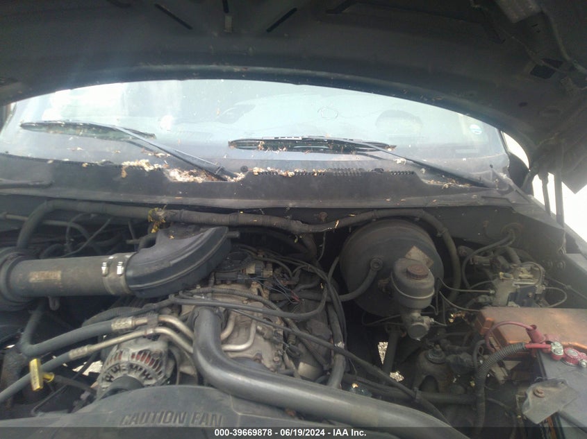 2001 Dodge Ram 1500 VIN: 3B7HF13Z21G703811 Lot: 39669878