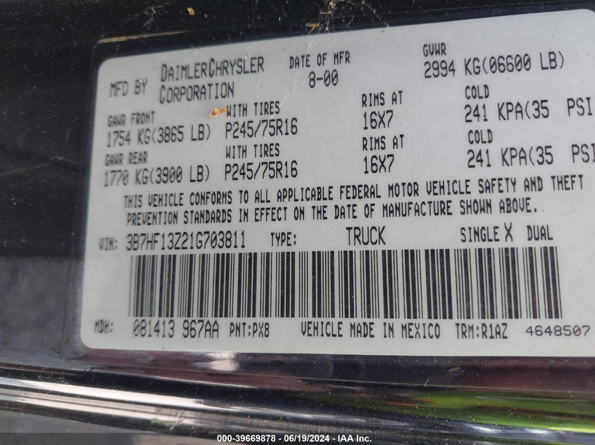 2001 Dodge Ram 1500 VIN: 3B7HF13Z21G703811 Lot: 39669878