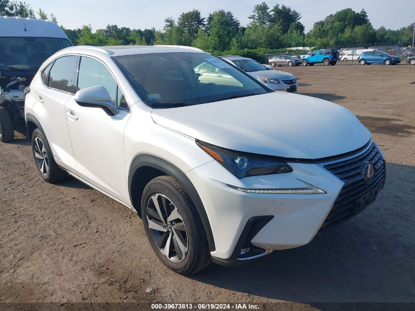 2021 Lexus Nx 300H VIN: JTJGJRDZ1M5014598 Lot: 39673813