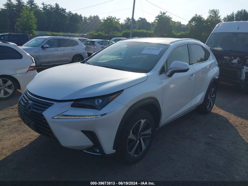 JTJGJRDZ1M5014598 2021 LEXUS NX - Image 2