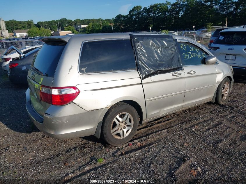 2005 Honda Odyssey Ex-L VIN: 5FNRL38725B021457 Lot: 39674023