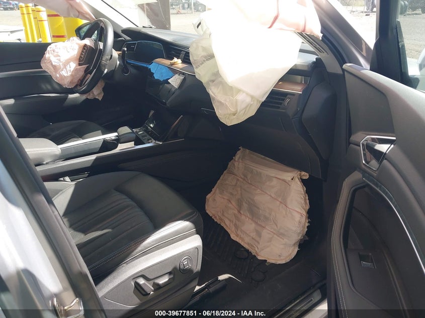 2019 Audi E-Tron Premium Plus VIN: WA1LAAGE9KB017236 Lot: 39677851