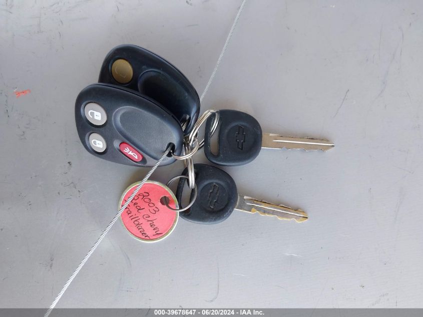 2003 Chevrolet Trailblazer VIN: 1GNDT13S032331446 Lot: 39678647