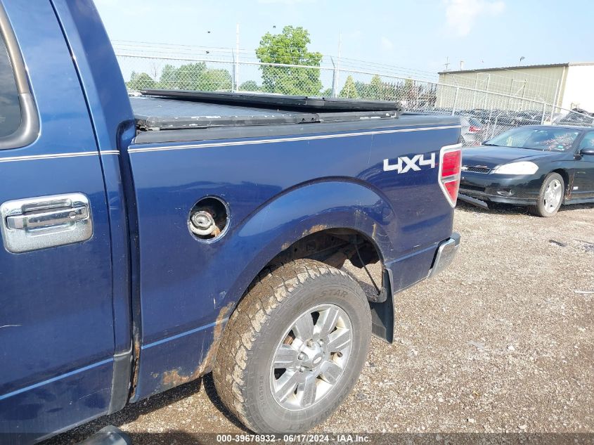 2010 Ford F-150 Xl/Xlt VIN: 1FTEW1E88AFA36154 Lot: 39678932