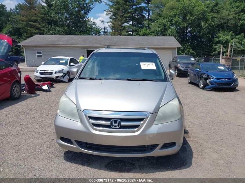 2007 Honda Odyssey Ex-L VIN: 5FNRL386X7B403973 Lot: 39679172