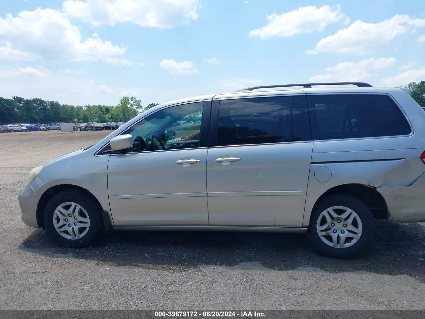 2007 Honda Odyssey Ex-L VIN: 5FNRL386X7B403973 Lot: 39679172