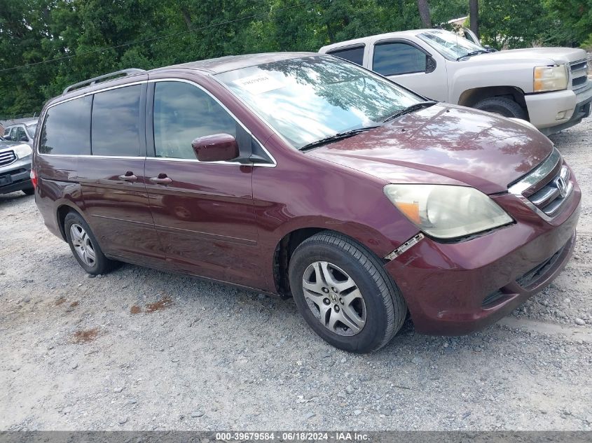 2007 Honda Odyssey Ex-L VIN: 5FNRL386X7B430607 Lot: 39679584