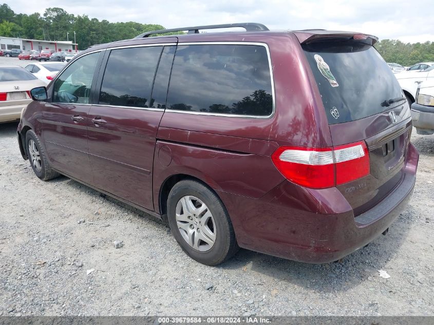 2007 Honda Odyssey Ex-L VIN: 5FNRL386X7B430607 Lot: 39679584