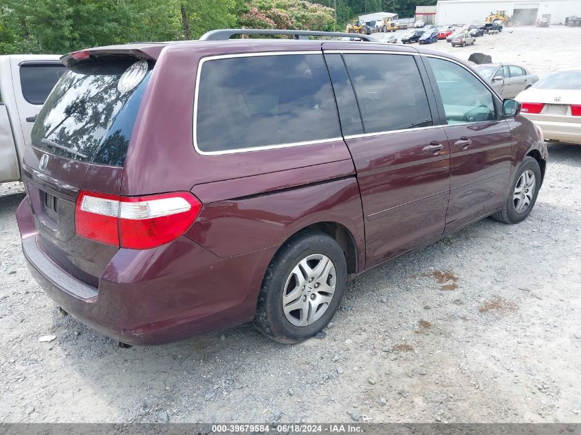 2007 Honda Odyssey Ex-L VIN: 5FNRL386X7B430607 Lot: 39679584