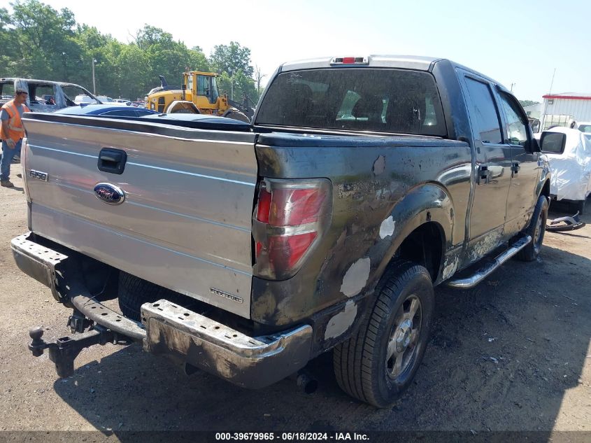 2010 Ford F-150 Xl/Xlt VIN: 1FTEW1E86AFA25119 Lot: 39679965