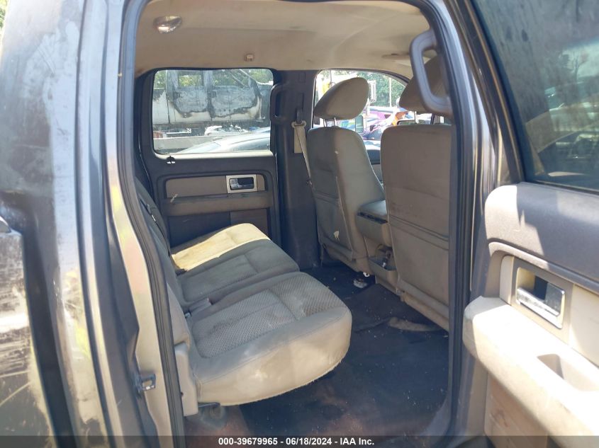 2010 Ford F-150 Xl/Xlt VIN: 1FTEW1E86AFA25119 Lot: 39679965