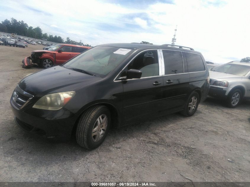 2005 Honda Odyssey Ex VIN: 5FNRL38445B047953 Lot: 39681057