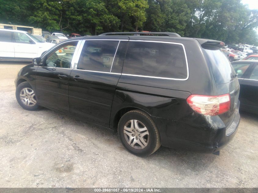 2005 Honda Odyssey Ex VIN: 5FNRL38445B047953 Lot: 39681057