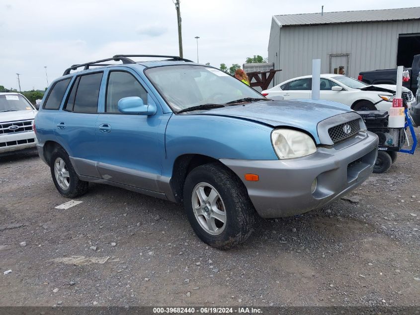 2004 Hyundai Santa Fe Gls/Lx VIN: KM8SC13D54U819035 Lot: 39682440