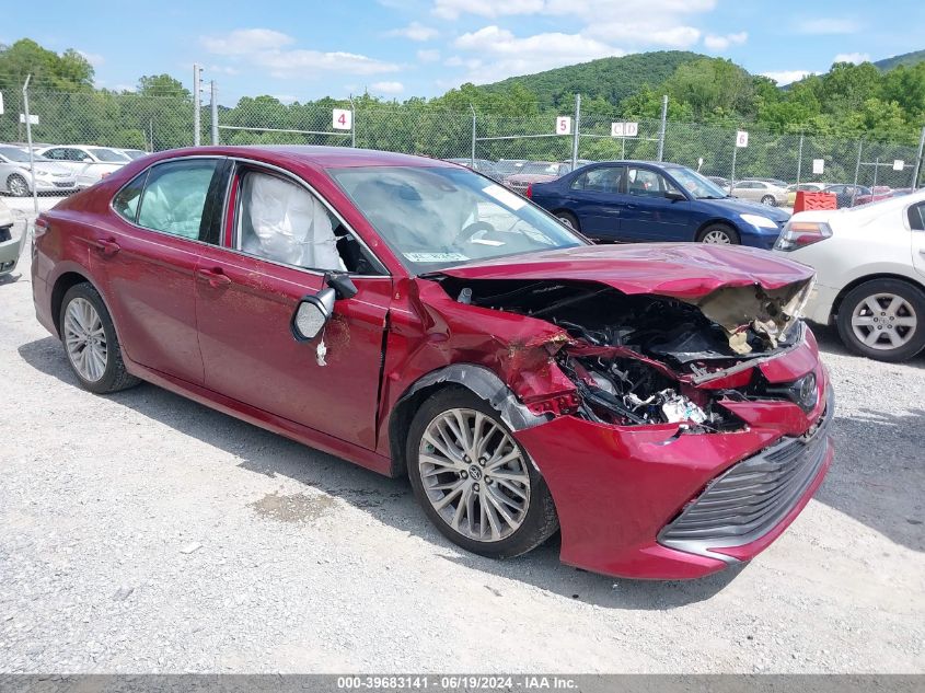 4T1B11HK7KU815966 2019 TOYOTA CAMRY - Image 1