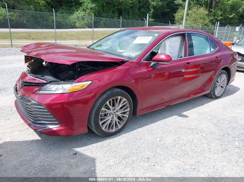 4T1B11HK7KU815966 2019 TOYOTA CAMRY - Image 2