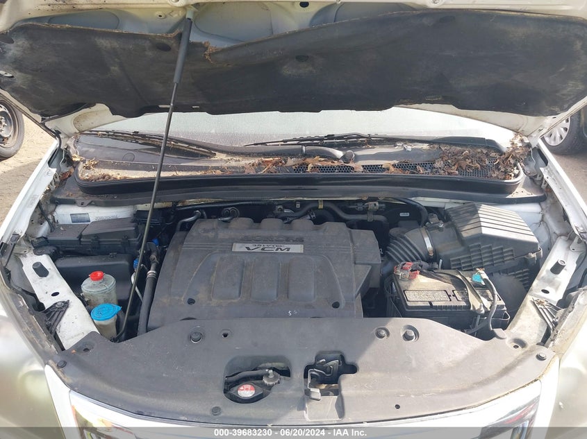 2008 Honda Odyssey Ex-L VIN: 5FNRL38638B406084 Lot: 39683230