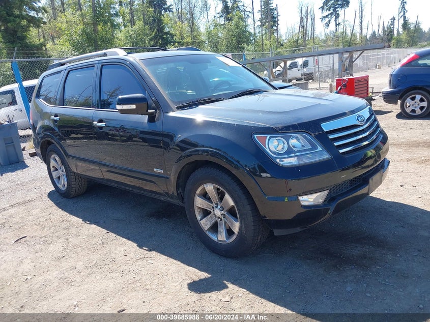 2009 Kia Borrego Ltd VIN: KNDJH742095038152 Lot: 39685988