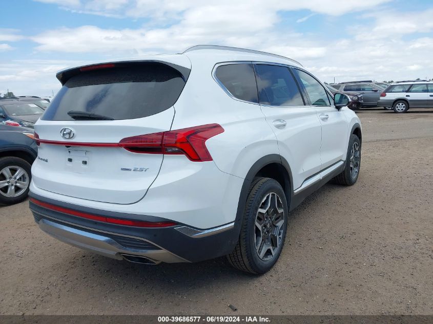 2023 Hyundai Santa Fe Limited VIN: 5NMS4DAL9PH525677 Lot: 39686577