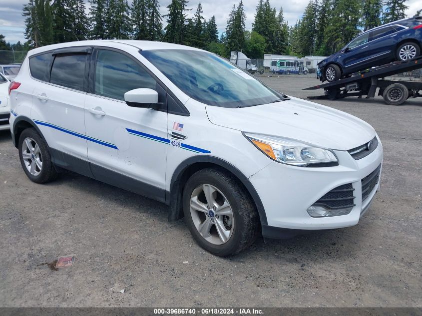 2014 FORD ESCAPE SE - 1FMCU9GX1EUE28521