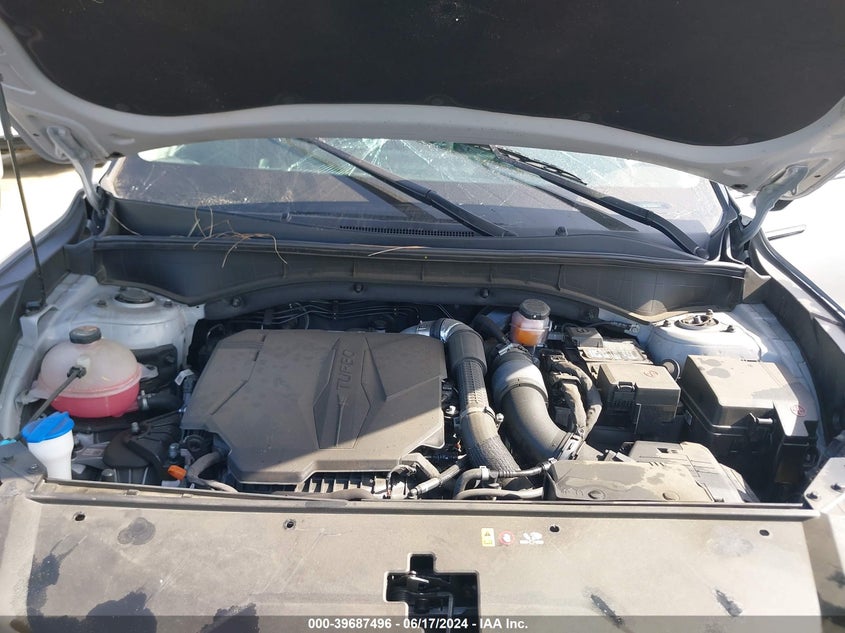 2023 Kia Sorento Sx VIN: 5XYRK4LF7PG176069 Lot: 39687496